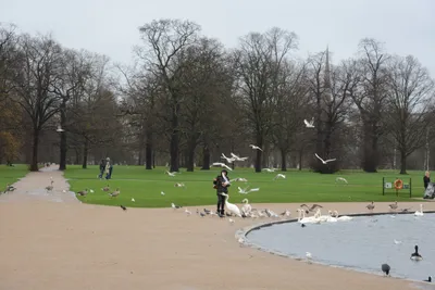 DSC_6199 (Large).JPG